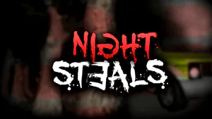 Cover image for NightSteals