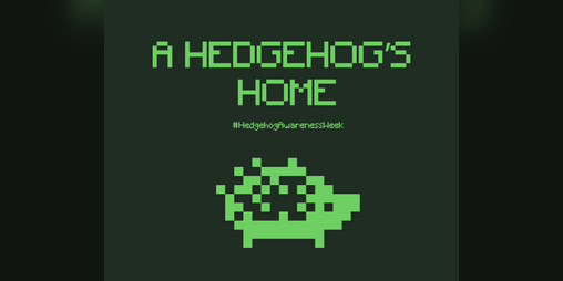 Cover image for A Hedgehog's Home