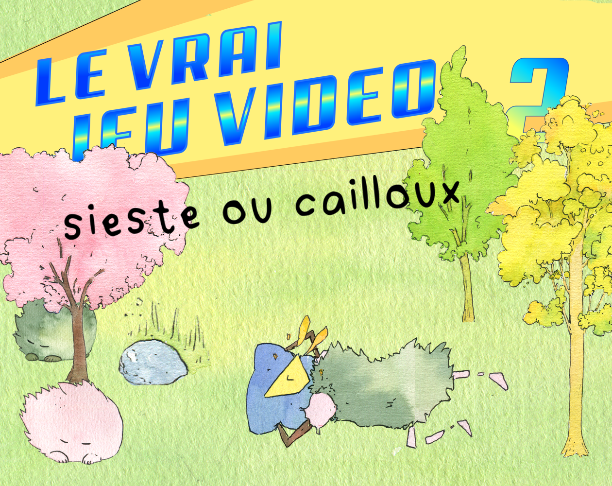 Cover image for Sieste ou cailloux