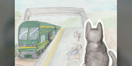 Cover image for I am the cat