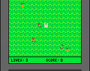 Crazy Bunny