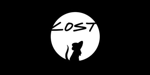 Cover image for Lost