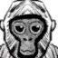 Lost Gorilla