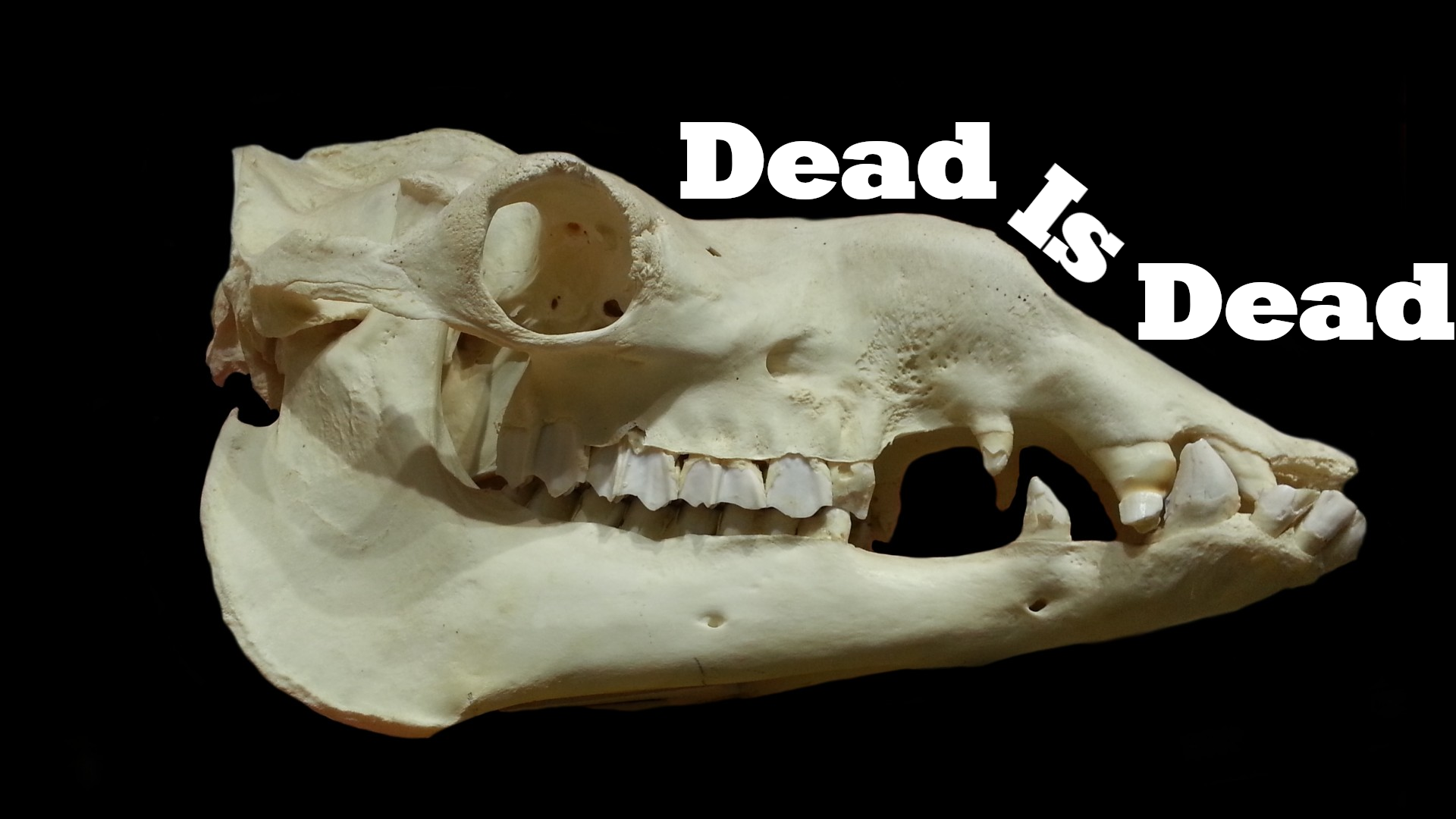 Dead Is Dead