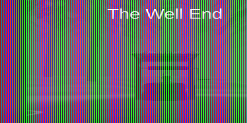 Cover image for The Well End