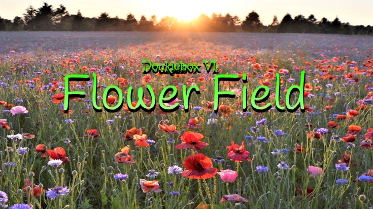 Doukiebox V1: Flower Field