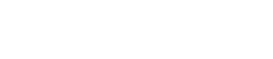 The Journey to the Starlit Veil