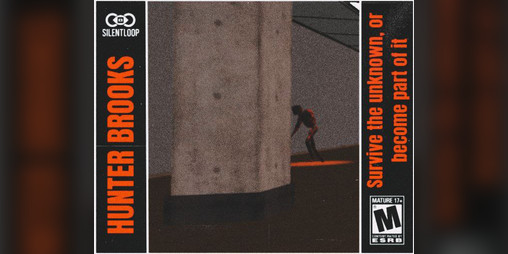 Cover image for Hunter Brooks