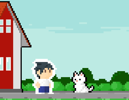 Cover image for Stray animals in life