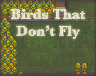 BirdsThatDontFly