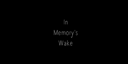 Cover image for In Memory's Wake
