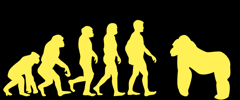 MAN or MONKEY