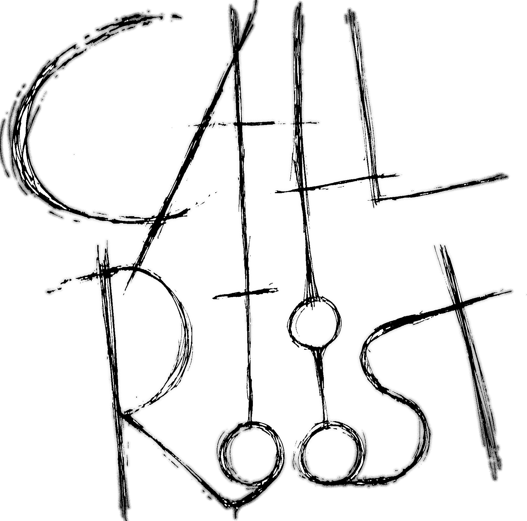 Cover image for Call to Roost