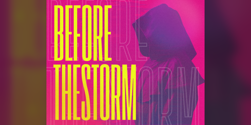 Cover image for Before the Storm