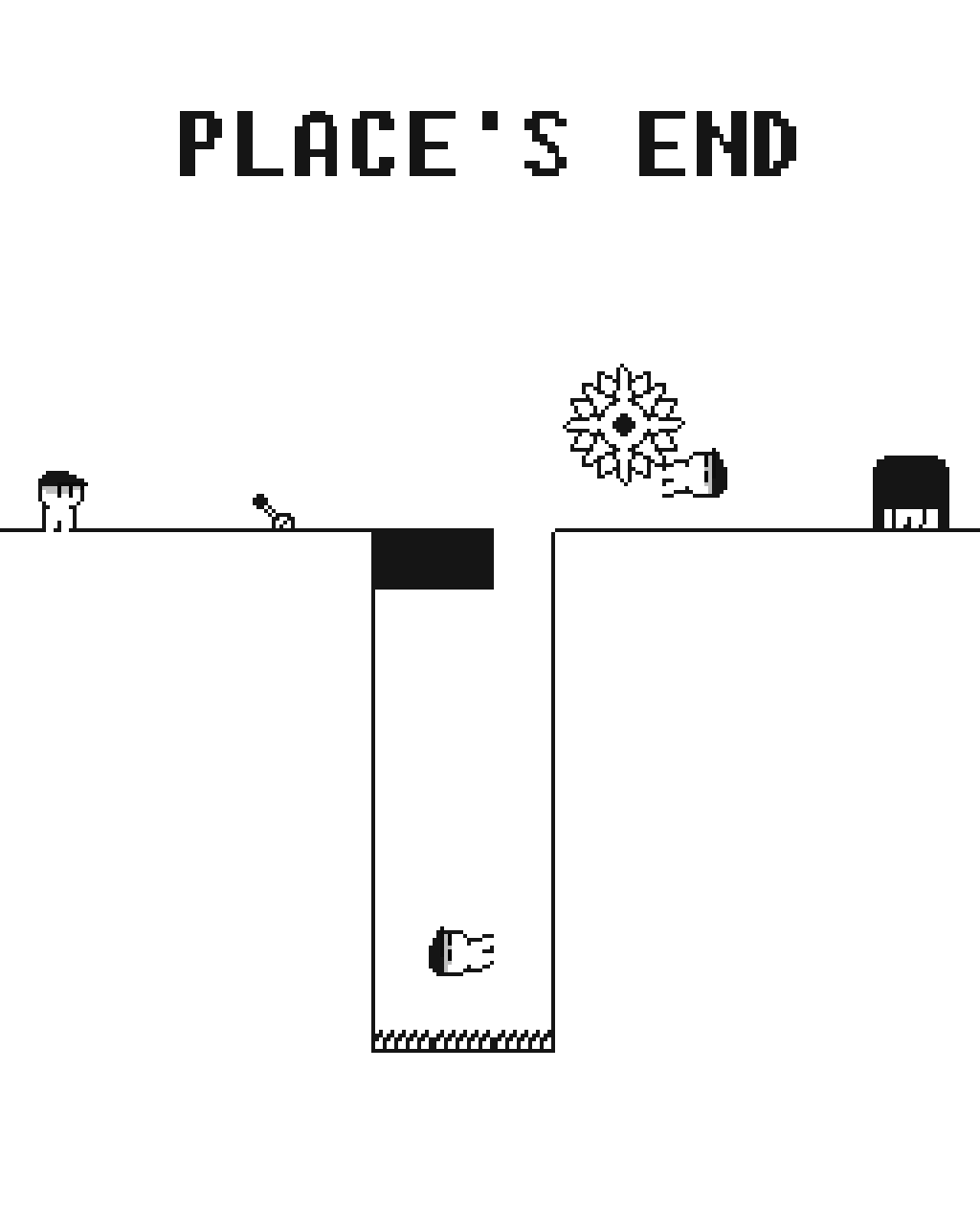 Place's End Demo