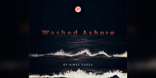 Cover image for Washed Ashore