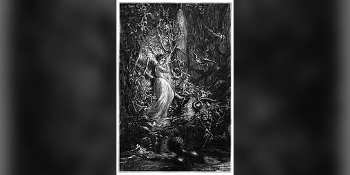 Cover image for Magic of a Wicked Paradigm