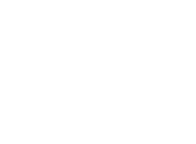 RoboCourier