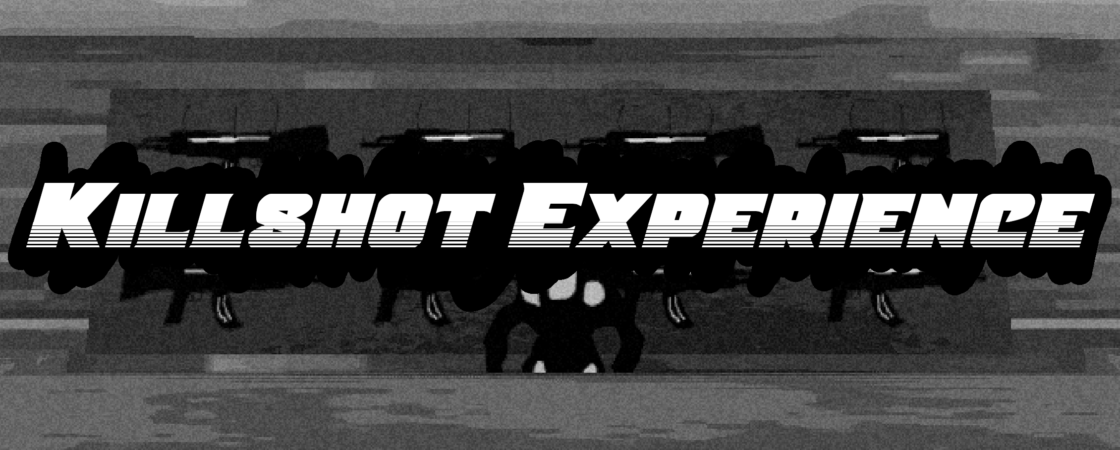 Killshot Experience