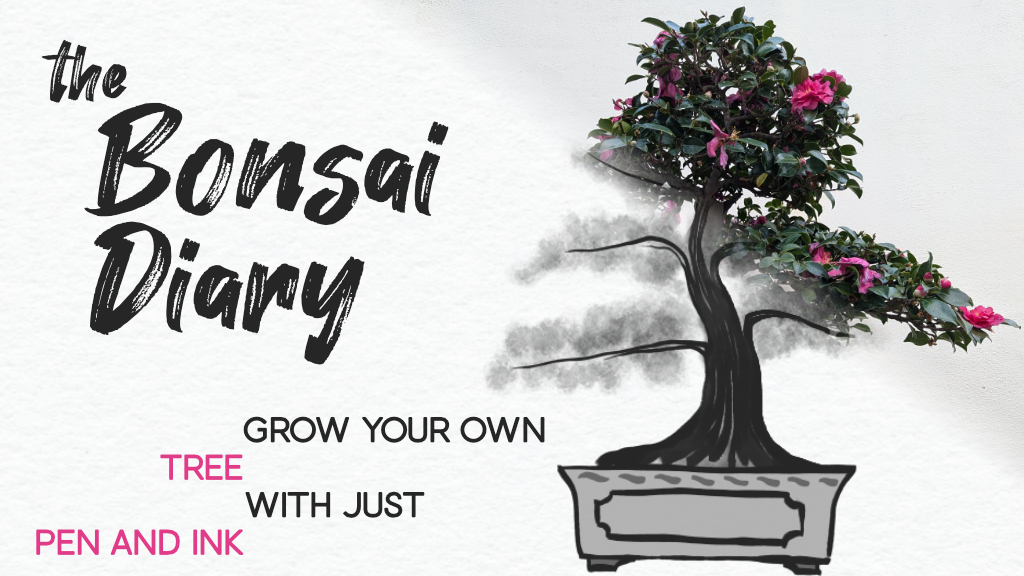 the Bonsai Diary the Bonsai Diary