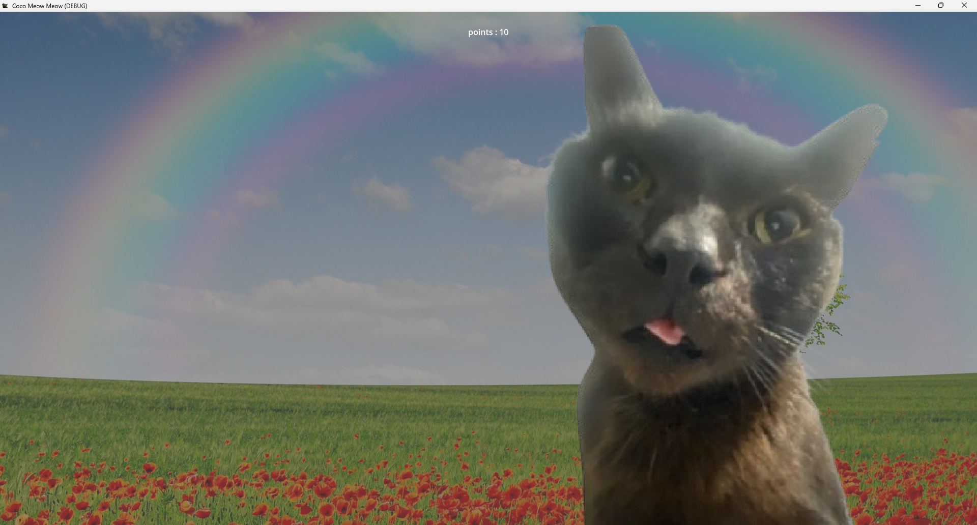 Rainbow sunshine cat game