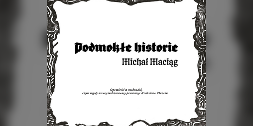 Cover image for Podmokłe historie