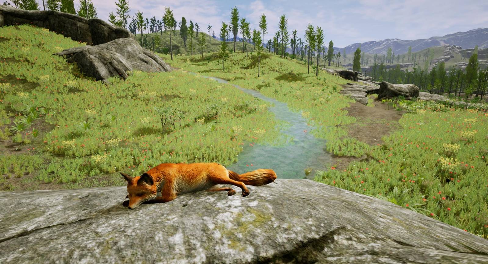 A Ranger's Journey