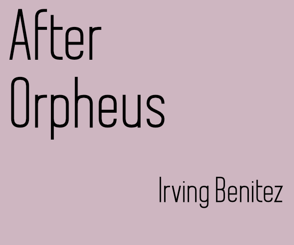 Cover image for After Orpheus