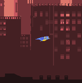 bird