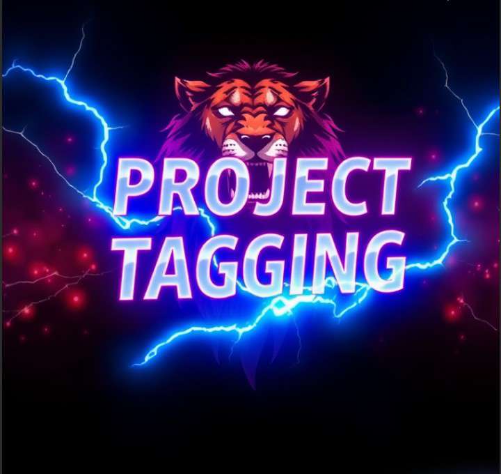 Project Tagging