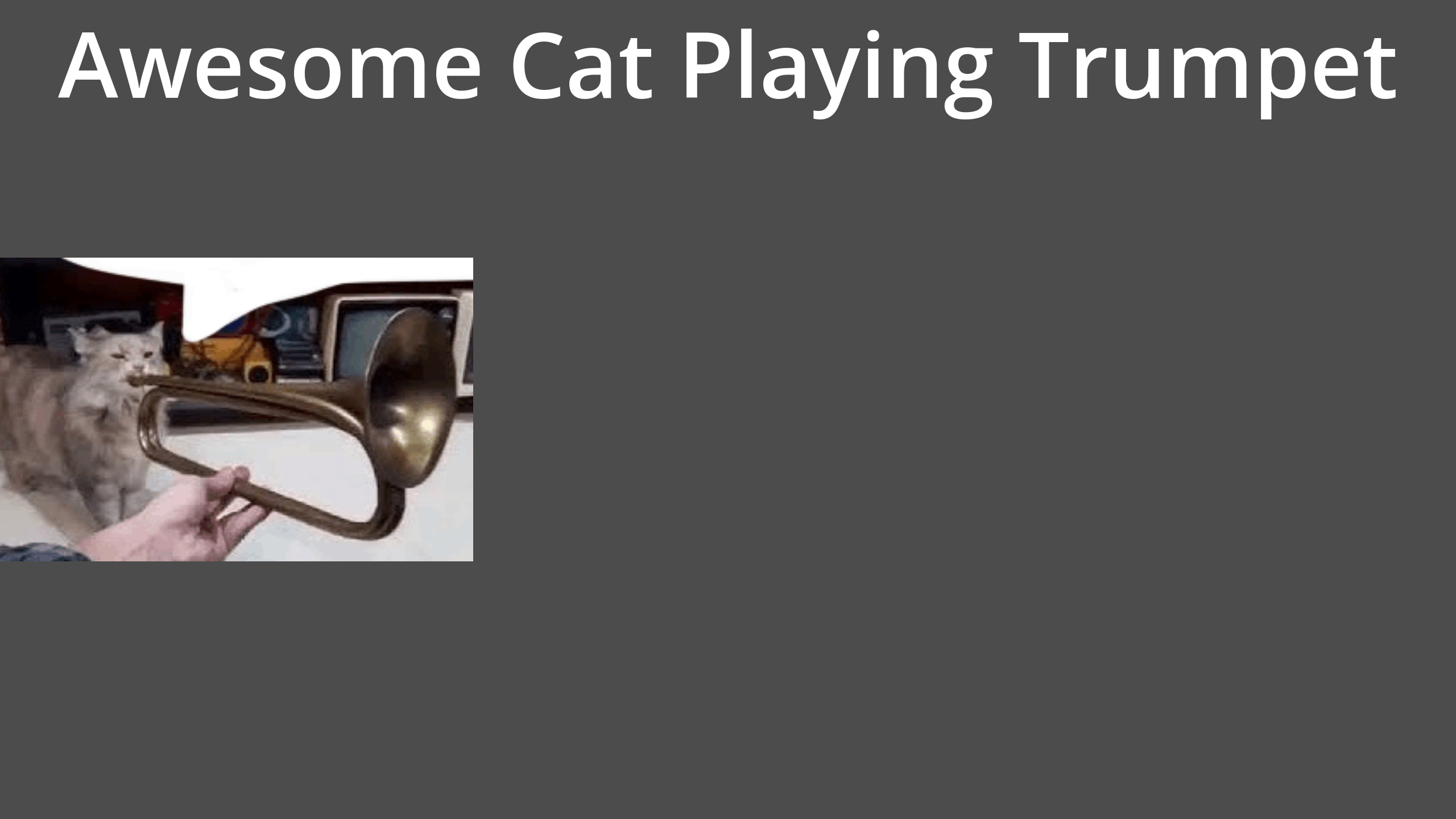 Awesome Cat Playing Trumpet