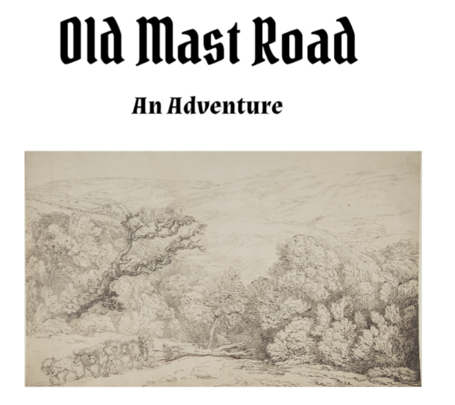 Cover image for Old Mast Road