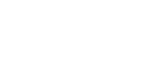 Mr.Who The Beginning