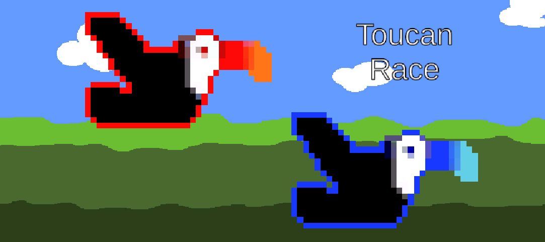 Cover image for Toucan Race