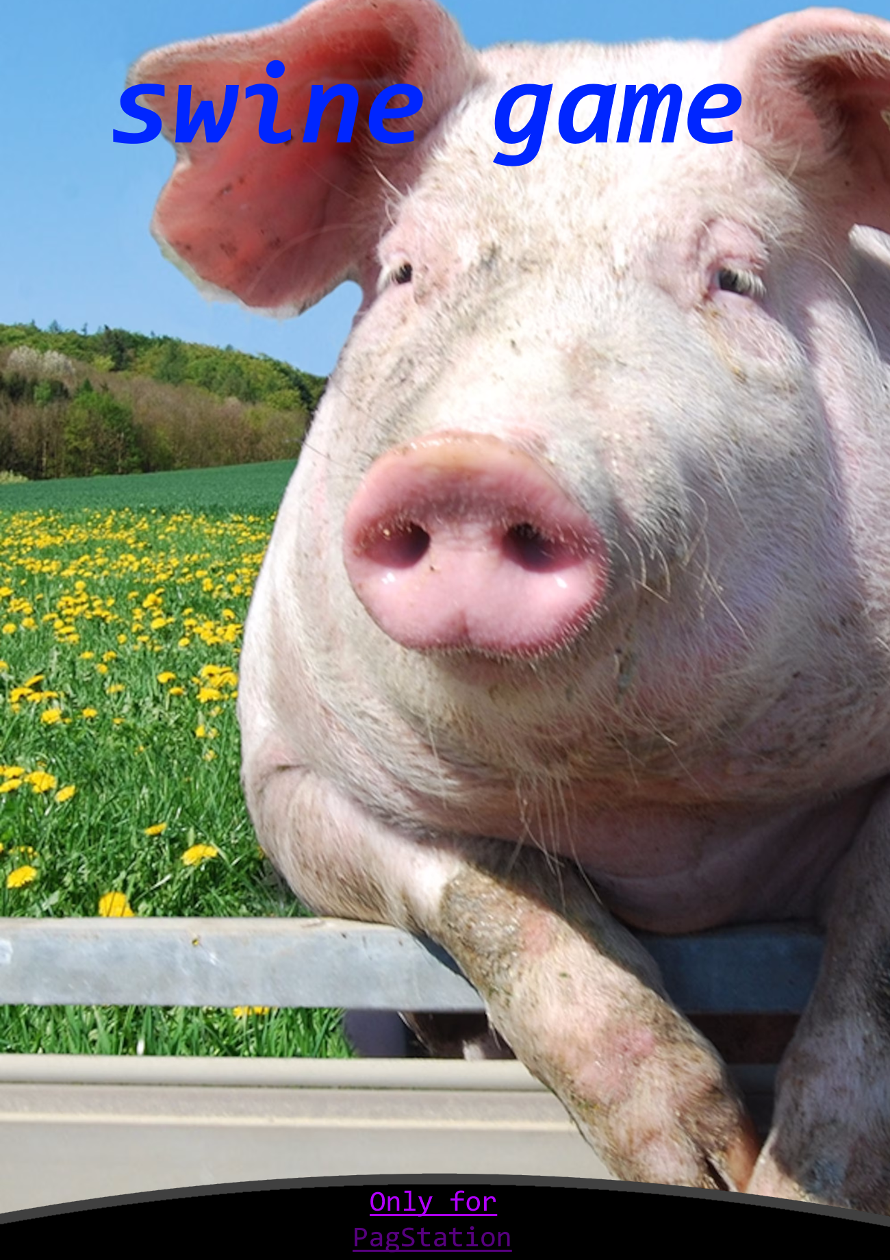 Play swine game - Recommended Game