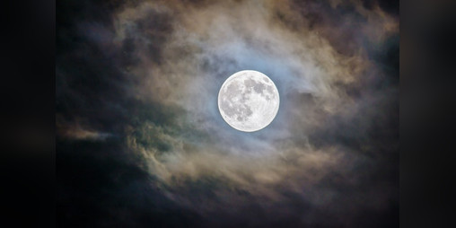 Cover image for WereKorg