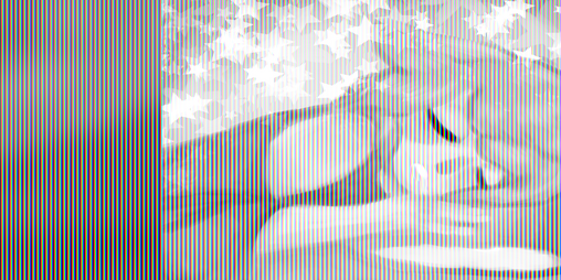 Cover image for My Little Cat Girl