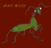 Cover image for bughell XD