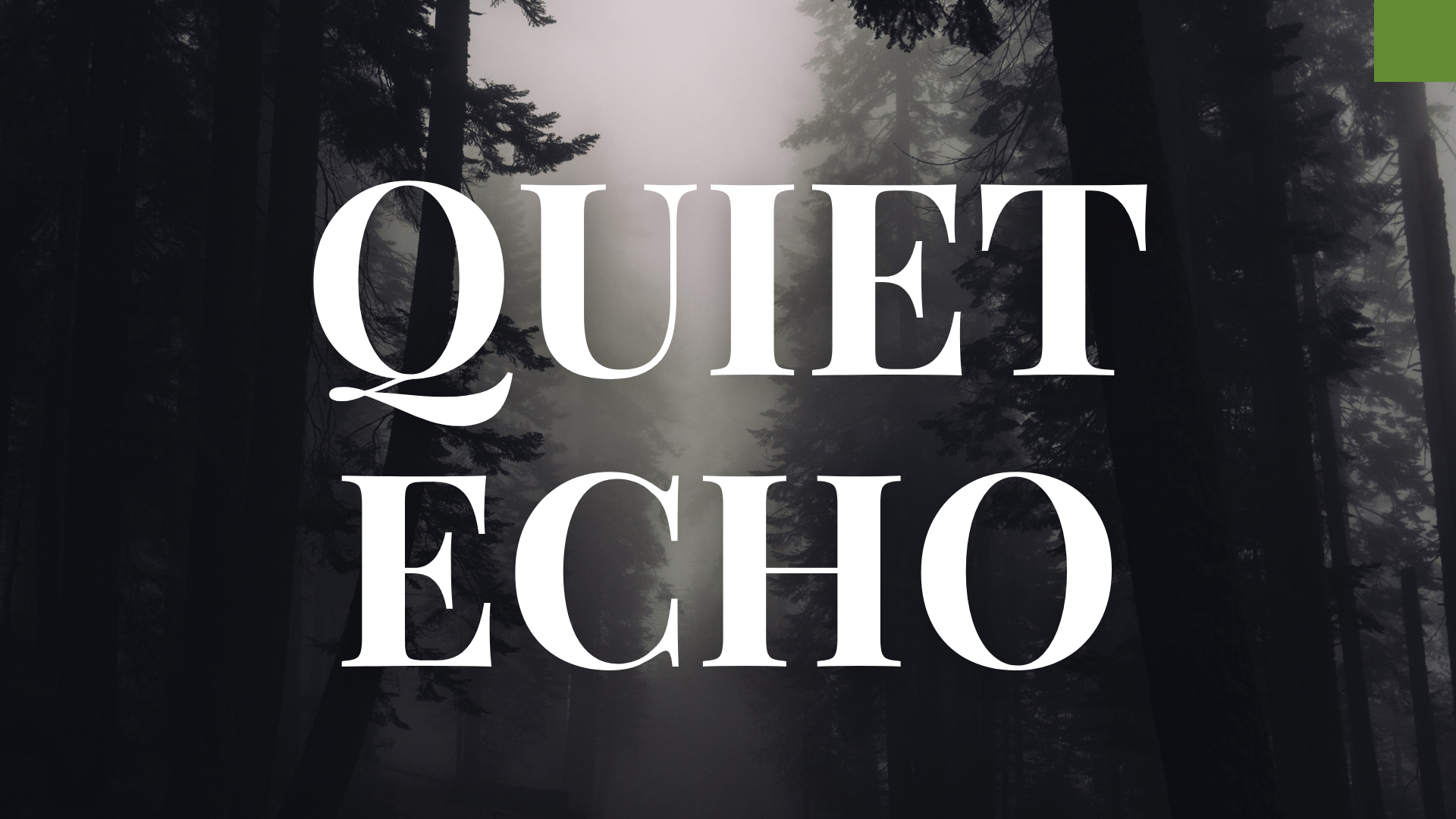 Quiet Echo
