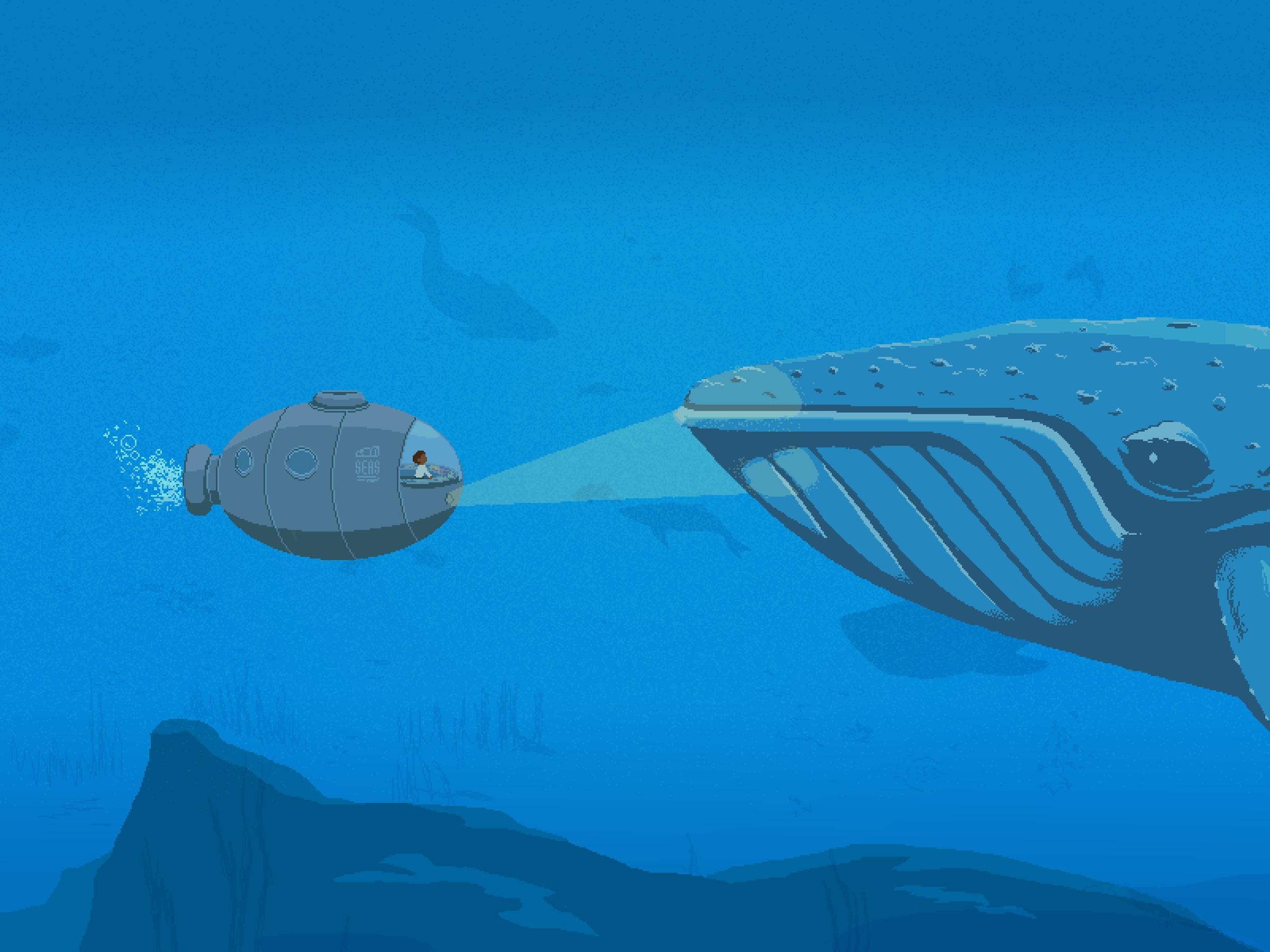 Meeting the whale