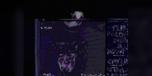 Cover image for Mugshot Asylum