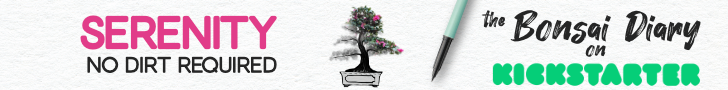 SERENITY: No dirt required / the Bonsai Diary on Kickstarter