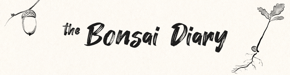 the Bonsai Diary