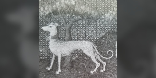 Cover image for The Hagiography of St. Doggo