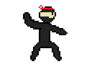 Ninja Jump