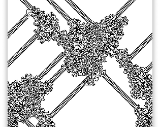 ant