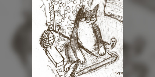 Cover image for finding a cat at the train station