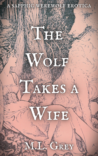 Cover image for The Wolf Takes a Wife