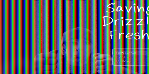 Cover image for Saving Drizzle Fresh