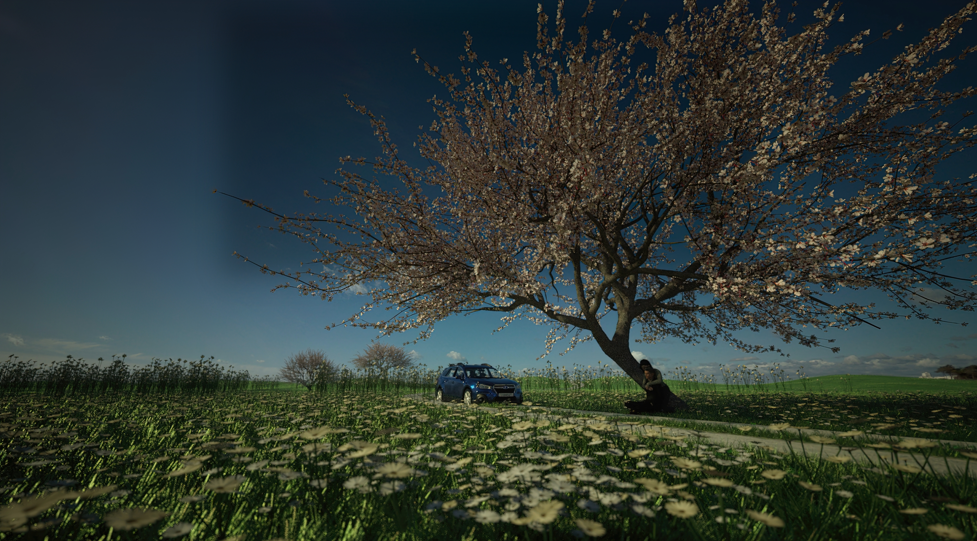 PulseHavenStudios avatar